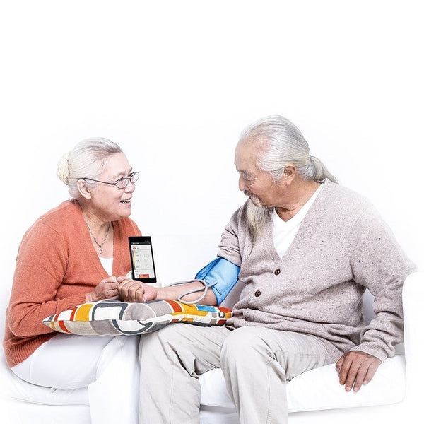 Smart Blood Pressure Dock Monitor System